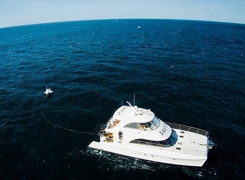 Savoy Charters