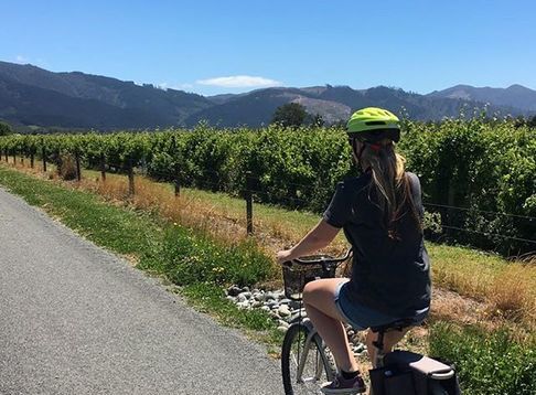 Wine Tours By Bike