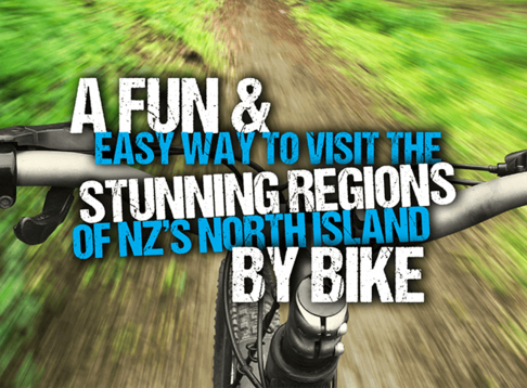 Blue Tui Shuttles and Tours
