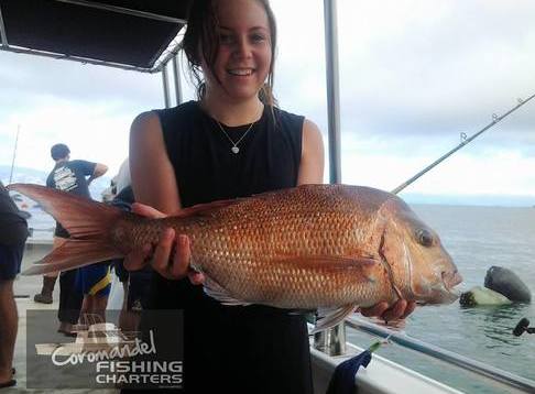 Coromandel Fishing Charters