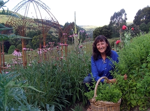 Valmai Becker, Naturopath & Herbalist at Phytofarm Herbal Learning Garden