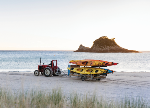 Coromandel