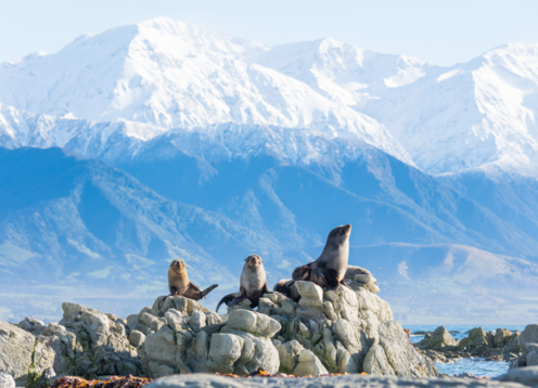 Kaikoura