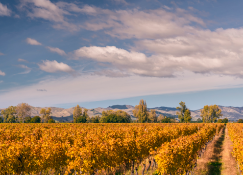 Marlborough