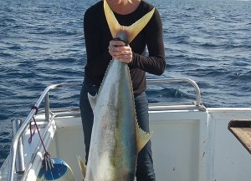 Bay of Islands