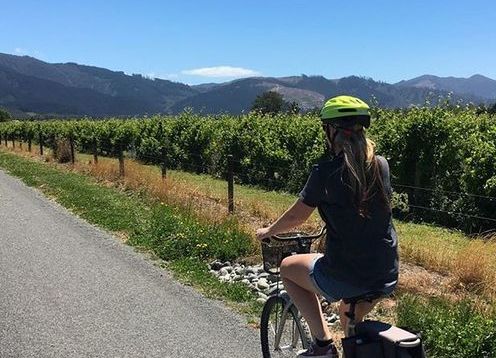 What better way to see the beautiful Marlborough wine region than to leisurely cycle through its superb countryside on a stunning Marlborough day.

Wine Tours by Bike, Marlborough's premier vineyard bike hire company is found at the heart of this famous wine region, and with over 15 cellar doors to choose from, it boasts the greatest concentration of cellar doors in the country.
