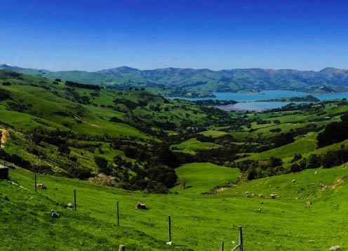 Banks Peninsula 