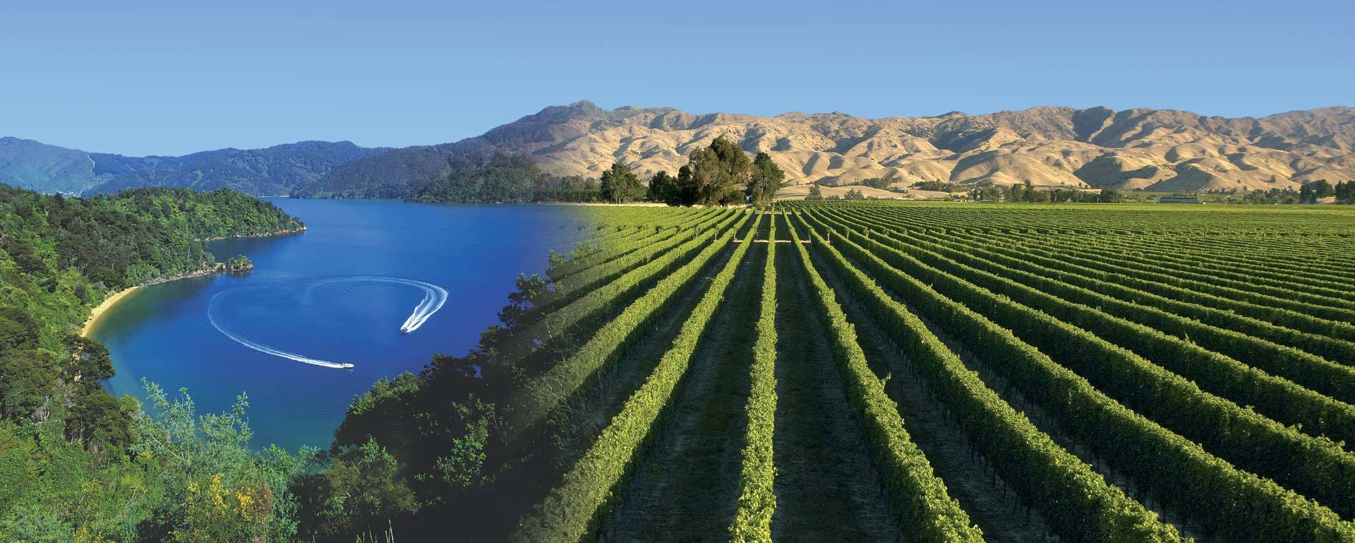 New Zealand Tourism Travel Destiations