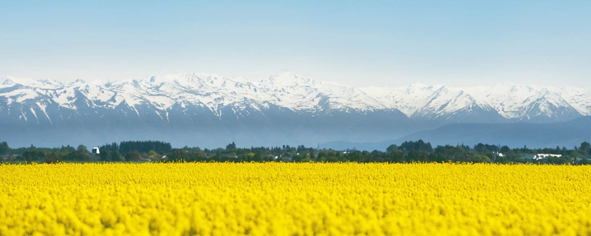 New Zealand Tourism Travel Destiations