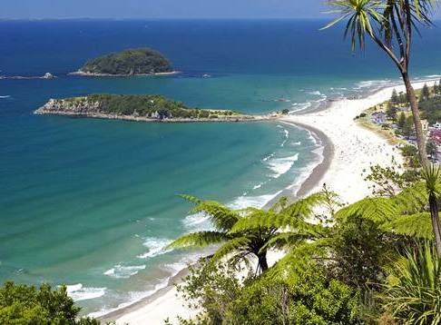 Bay of Plenty