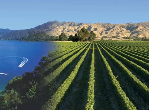 Marlborough