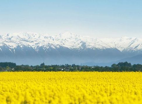 South Canterbury