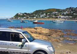 New Zealand Travel Offer