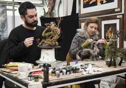 New Zealand Travel Offer