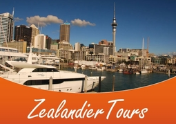 New Zealand Travel Offer
