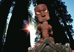 New Zealand Travel Offer