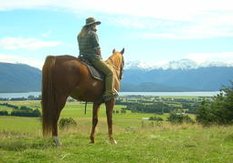 New Zealand Travel Offer