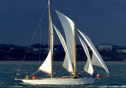 New Zealand Travel Offer