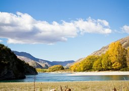 New Zealand Travel Offer