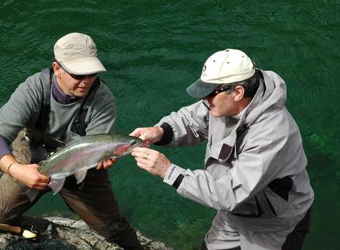 Fly Fish Taupo