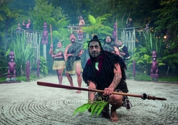 New Zealand Travel Offer