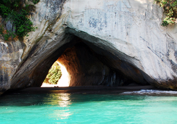 New Zealand Travel Offer