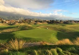 New Zealand Travel Offer