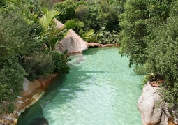 New Zealand Travel Offer