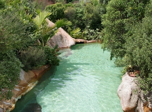 The Lost Spring