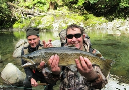 New Zealand Travel Offer