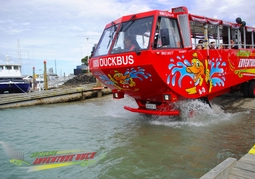 New Zealand Travel Offer