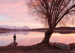 New Zealand Travel Offer