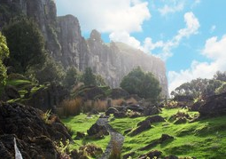 New Zealand Travel Offer