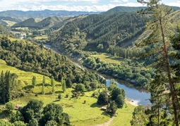 New Zealand Travel Offer