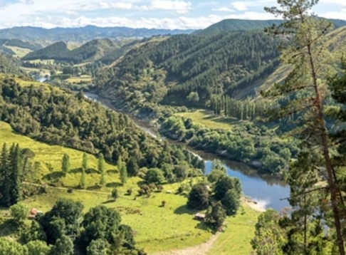 Visit Whanganui 