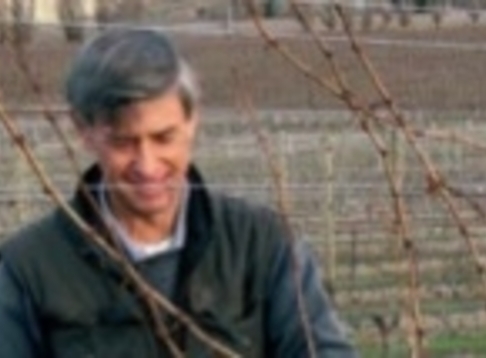 Remarkable Wines