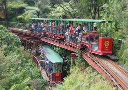 New Zealand Travel Offer