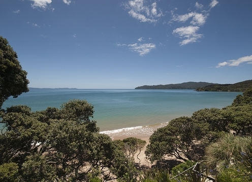 Luxury Accommodation, Coopers Beach, Doubtless Bay

Enjoy a holiday on absolute beachfront at stunning Coopers Beach, either to relax or explore the Far North of New Zealand.

When on your private deck at Beach Lodge, you get the feel of total seclusion, yet it is close to the beautiful historic village of Mangonui with excellent restaurants, cafés and only 500m away from the local shops. 