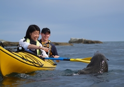 New Zealand Travel Offer