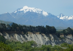 New Zealand Travel Offer