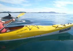 New Zealand Travel Offer