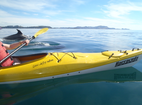 Bay of Islands Kayaking 