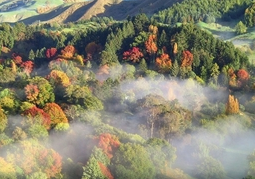 New Zealand Travel Offer