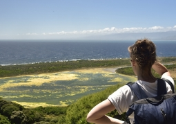 New Zealand Travel Offer