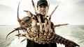 Crayfish