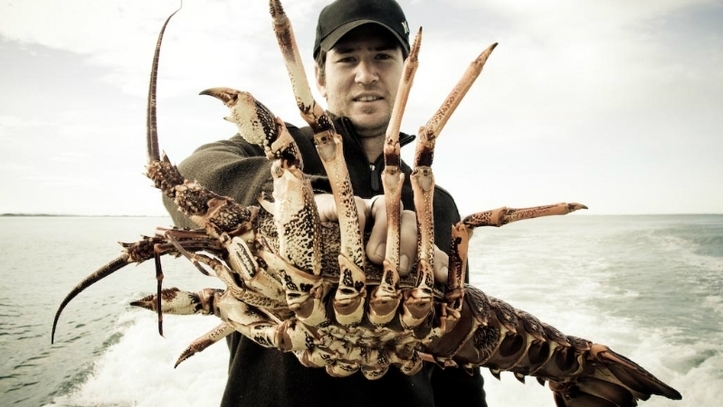 Crayfish