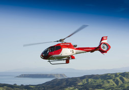 New Zealand Travel Offer