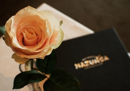 New Zealand Travel Offer