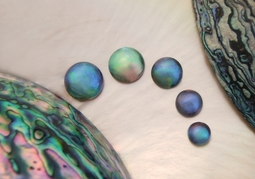 New Zealand Travel Offer