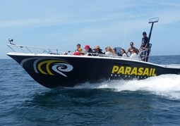 New Zealand Travel Offer